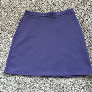 Elegant Purple Women's Skirt